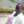 Micheni Mwende