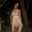 Caren Arancibia
