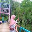 Liza Tri Hanie