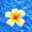 Hawaii Girl 50835 Hawaii Girl 50835