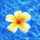 Hawaii Girl 50835 Hawaii Girl 50835