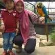 Mrs. Silmi