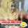 Devi vimala Devi vimala