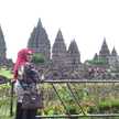 Urip Lestari