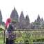 Urip Lestari