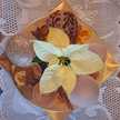 Dalia CV