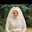 Amany Hamdy