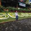 fachrul rozy