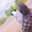 Sanam
