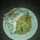 Fadhila Jumare(phadys Kitchen)