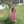 Nagham Nasser