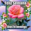 leticiagg