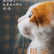 阿嬌嬌