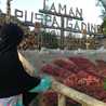 Nining Ah Mirwan