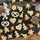 Linou Cuisine Linou Cuisine