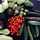 Annastasis Annastasis