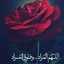 نصيب ندير