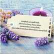 Prihesti Ummu Arfia Des