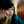 Venni_626 Venni_626