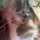 SammaLamma