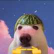 r belunita