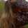 Lucy Fabras Lucy Fabras