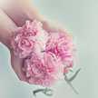 Saja Al_qasem