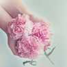 Saja Al_qasem Saja Al_qasem