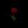 sh7_f sh7_f