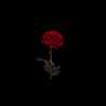 sh7_f