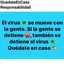 Monica Calvelo Penide