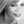 Shayners08