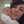 morfoula_athan