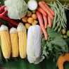 Bonie Cook