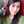 Viny Sendy