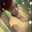 Lucia Johnson