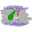Living Without A Gallbladder