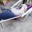 Maru Araujo