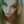 Andreea 