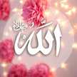Inas Ibrahim 