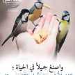 الحجيه ام ممحمد