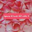انيسة ام محمد