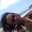 Yury