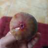 Pawon Cilik