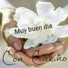 yuli