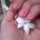 Rua_Adham1995