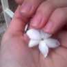 Rua_Adham1995