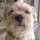 Jed