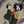 Fille Têtue