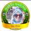 Lipy Ismail